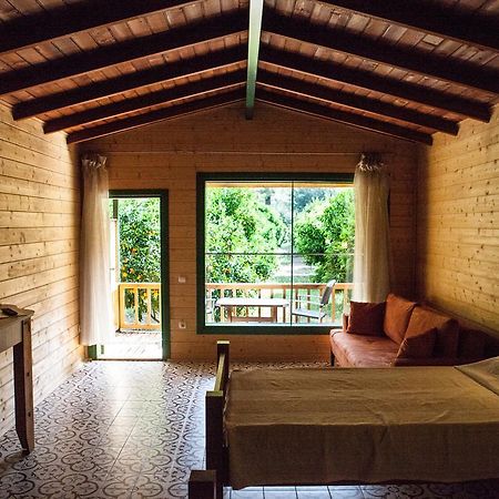Ekinoks Hotel - Adults Only Çıralı Zimmer foto