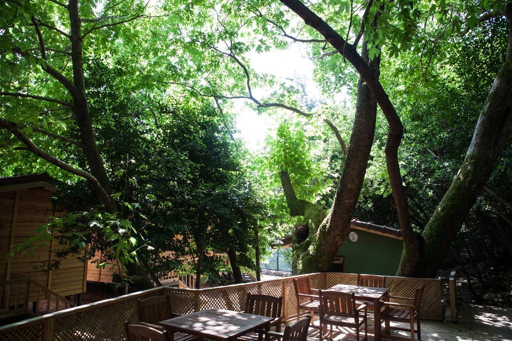 Ekinoks Hotel - Adults Only Çıralı Exterior foto